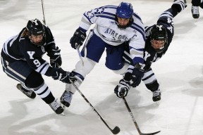 字母哥新星重返赛场表现突出，MAD前途光明！再创辉煌时刻